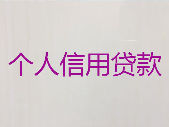 黔南贷款中介公司-银行信用贷款